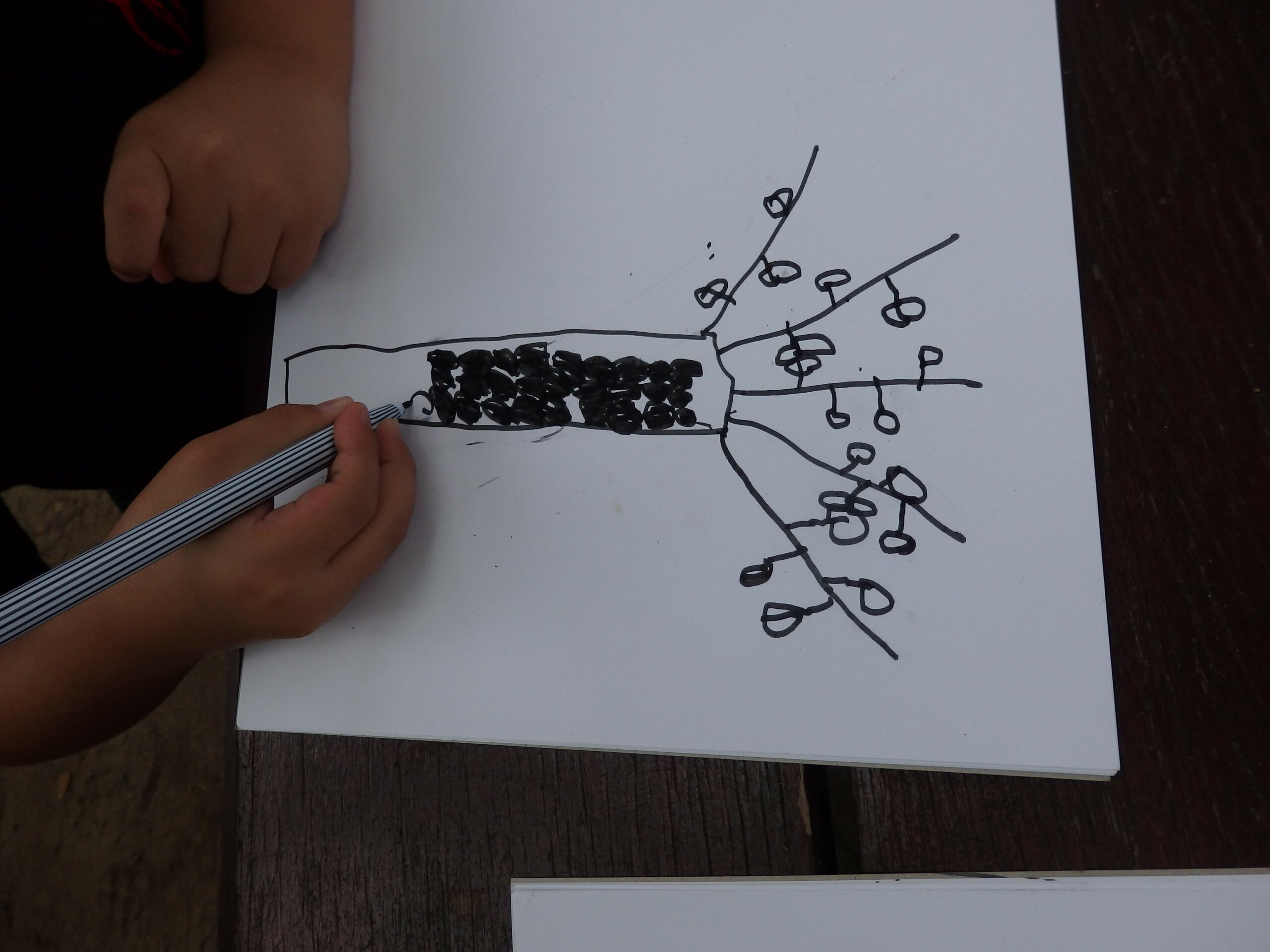 Constructing Theories| The Country School International School Bangkok