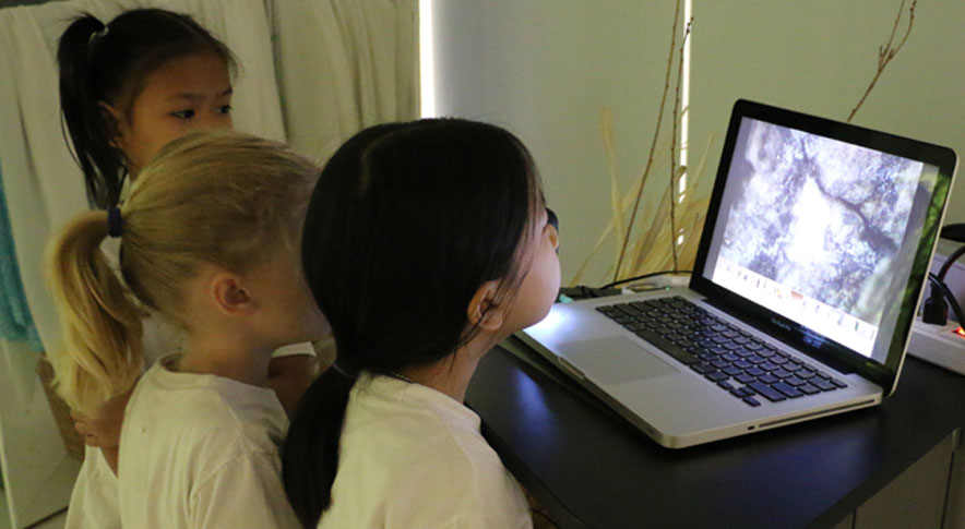 Elc Atelier Of Nature Learning | City School International School Bangkok