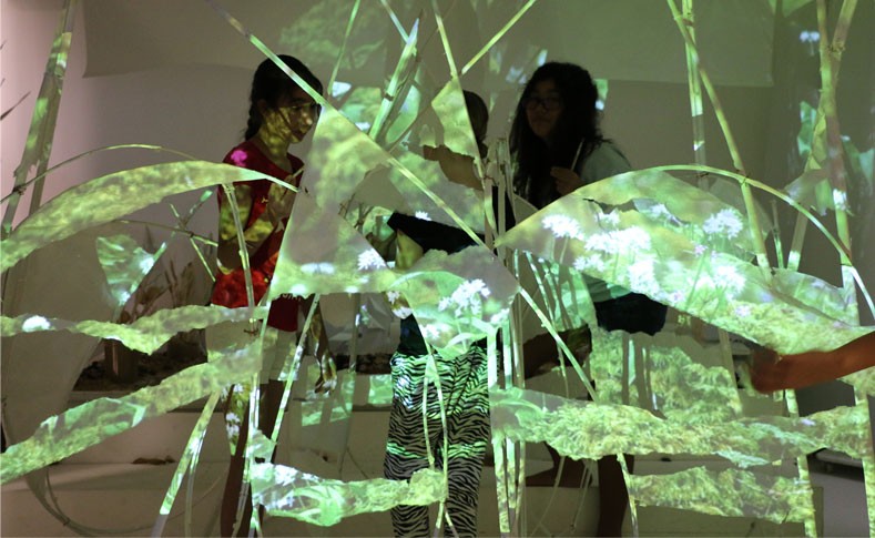 Elc Theatre Of Imagination Lights | The City School International School Bangkok