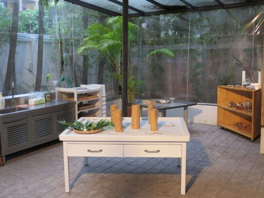 Encouraging Environment Learning | ELC The Country School International School Bangkok Encouraging Environment Learning | ELC The Country School International School Bangkok
