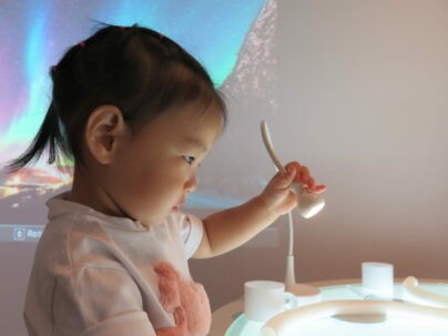 Img 1420 1243x932