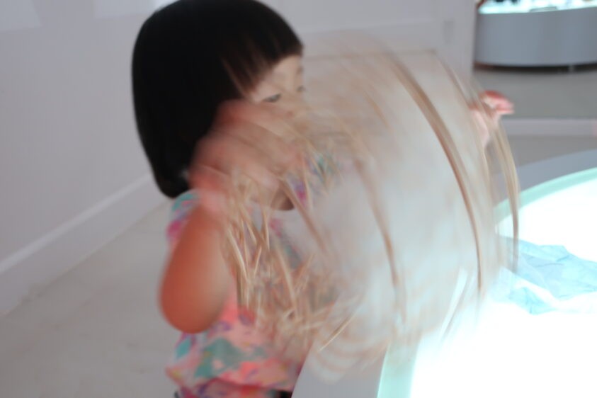 Img 3752