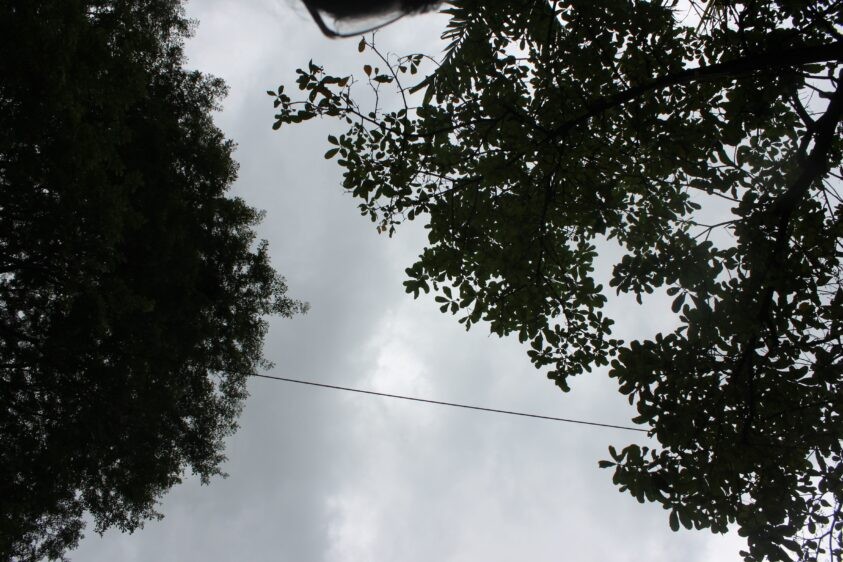 Img 4132 Copy