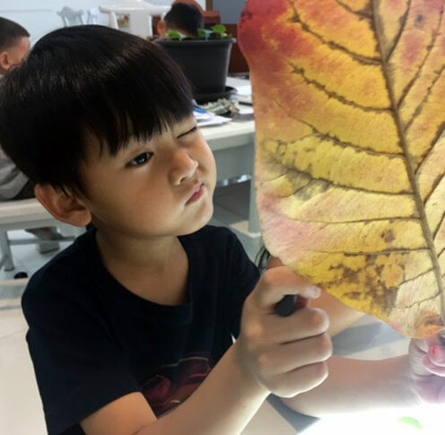 K2 | The City School International School Bangkok K2 | The City School International School Bangkok