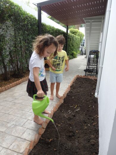 Learning About Plants | The Country School International School Bangkok Learning About Plants | The Country School International School Bangkok