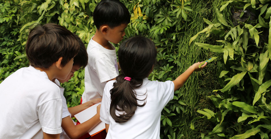 Learning Biology | City School International School Bangkok