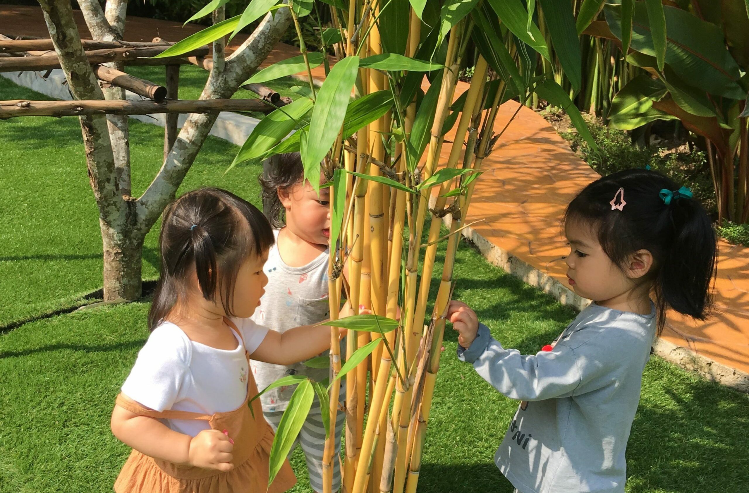 Learning From Nature | Purple Elephant 49 International School Bangkok