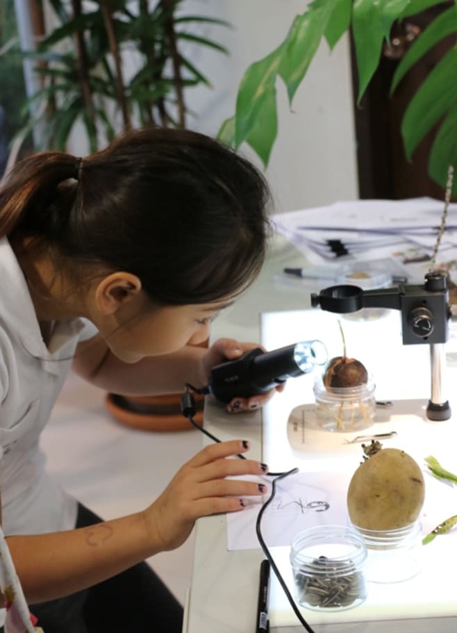 A Year 3 student using a camera to capture micro images