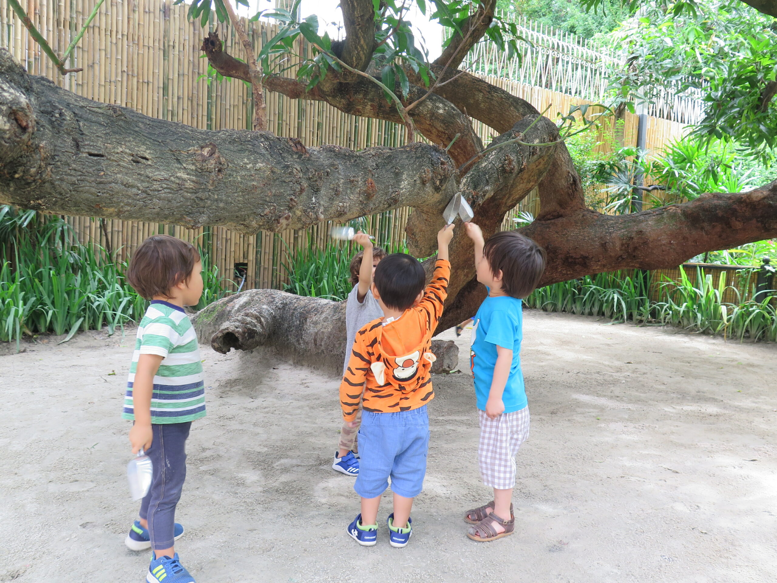 Playground | Purple Elephant 39 International School Bangkok