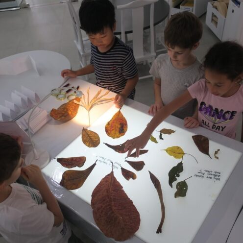 Responsive Classroom Responsive Classroom