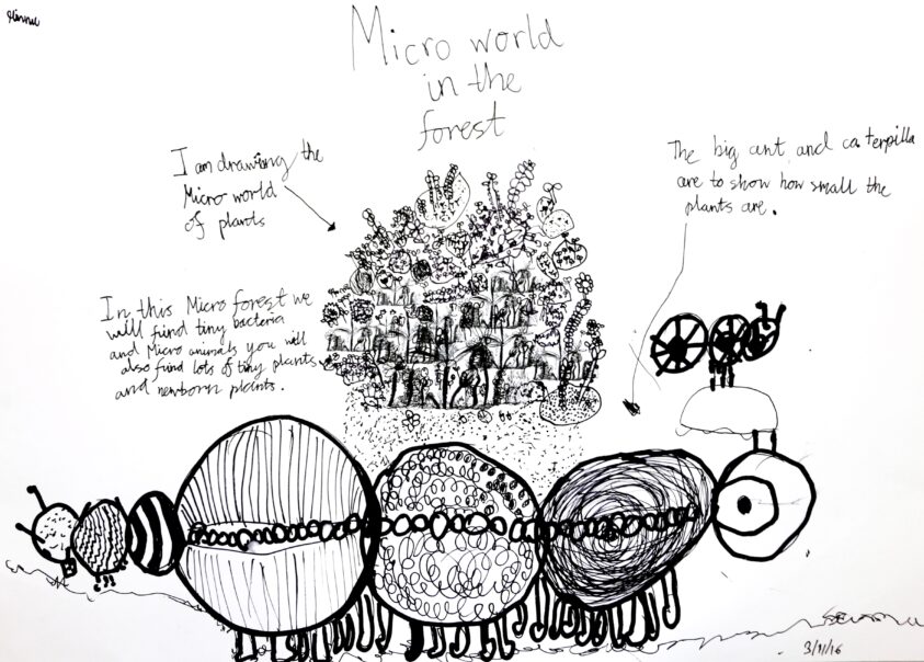 Y4 Micro World Life Forms 125
