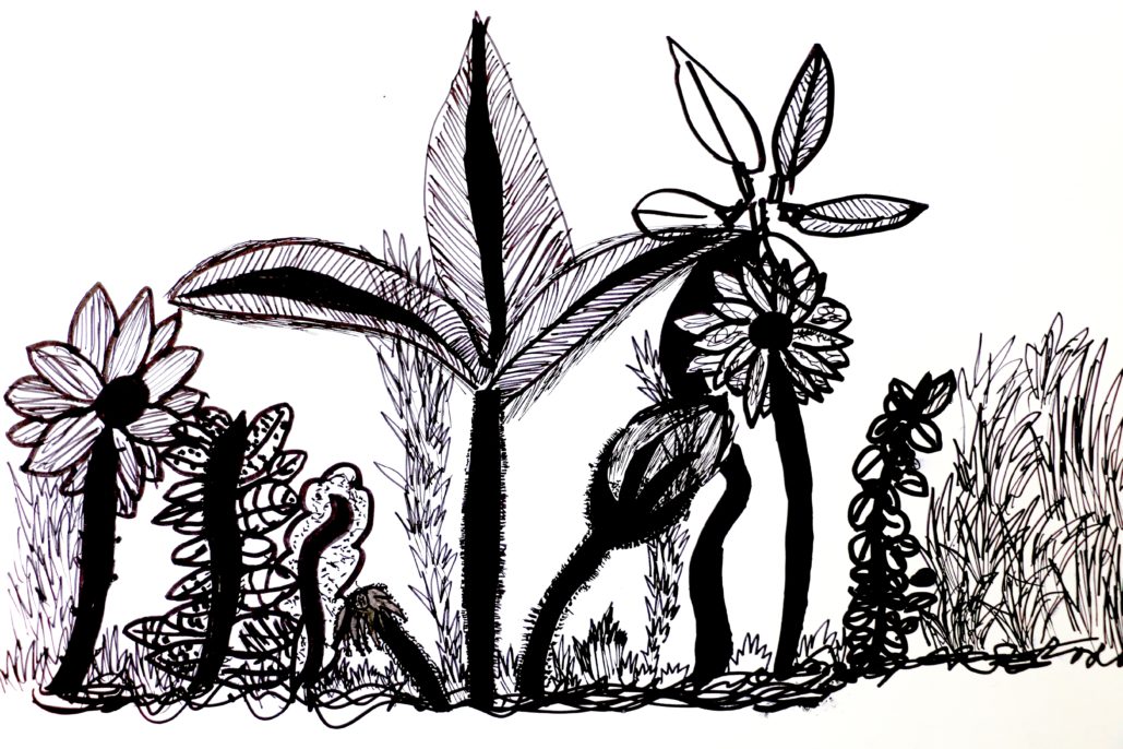 Y4 Micro World Life Forms 46 Copy Y4 Micro World Life Forms