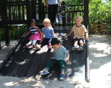 Community 6 (1)