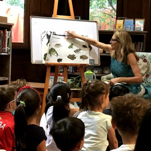 festival-of-children’s-literature-ELC festival of children’s literature - ELC
